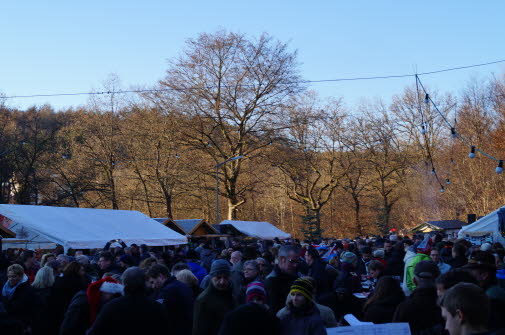 Weihnachtsmarkt 2016 - (74)